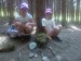 04_image-1371494738953-V